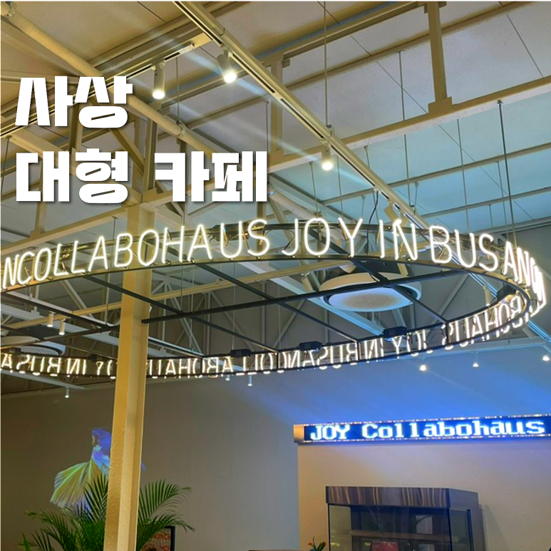 콜라보하우스조이 이미지