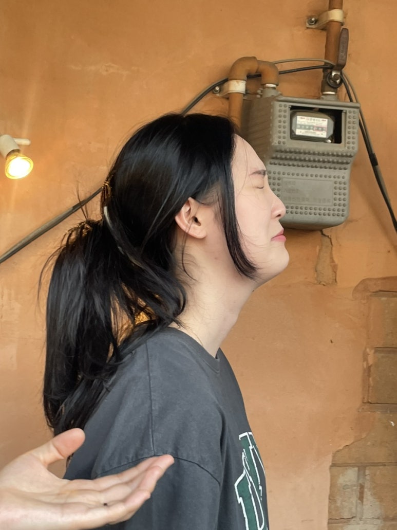 스테이다온 이미지