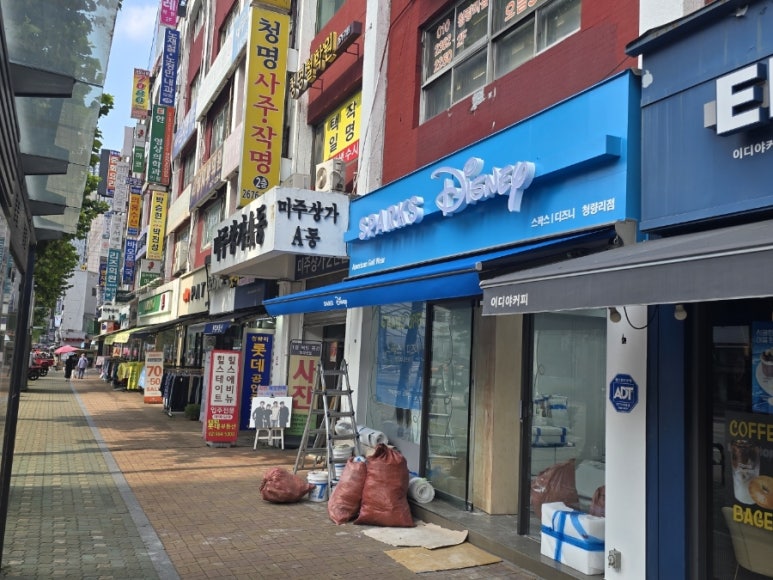 스팍스디즈니 이미지