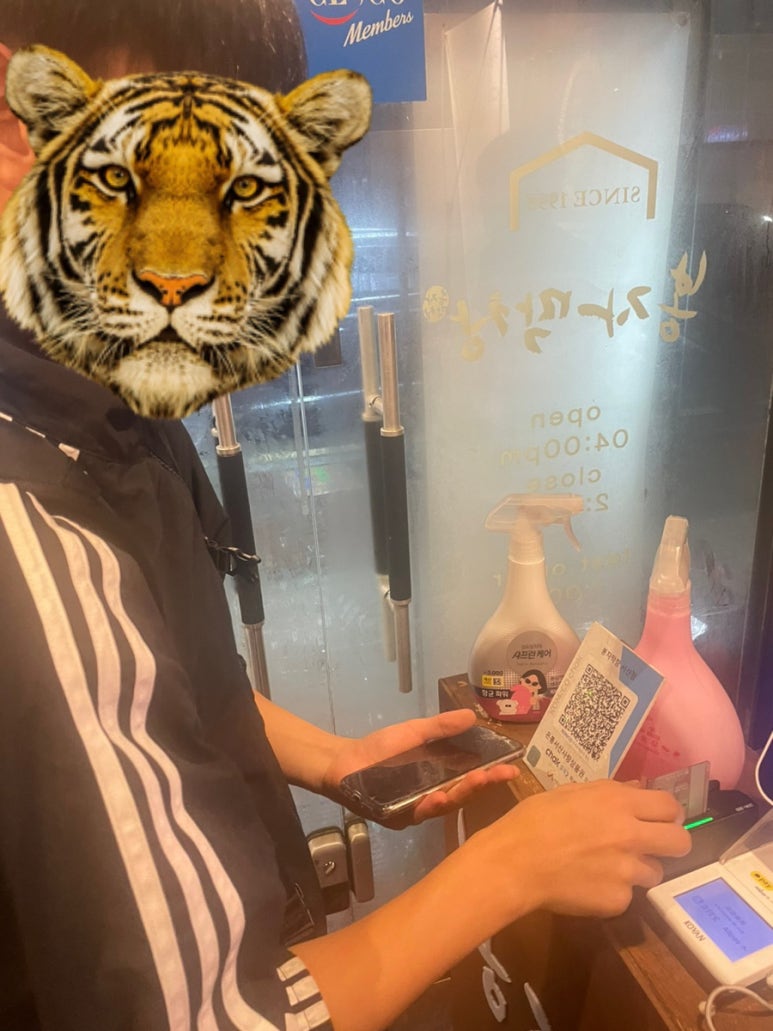 니가사는고기 이미지