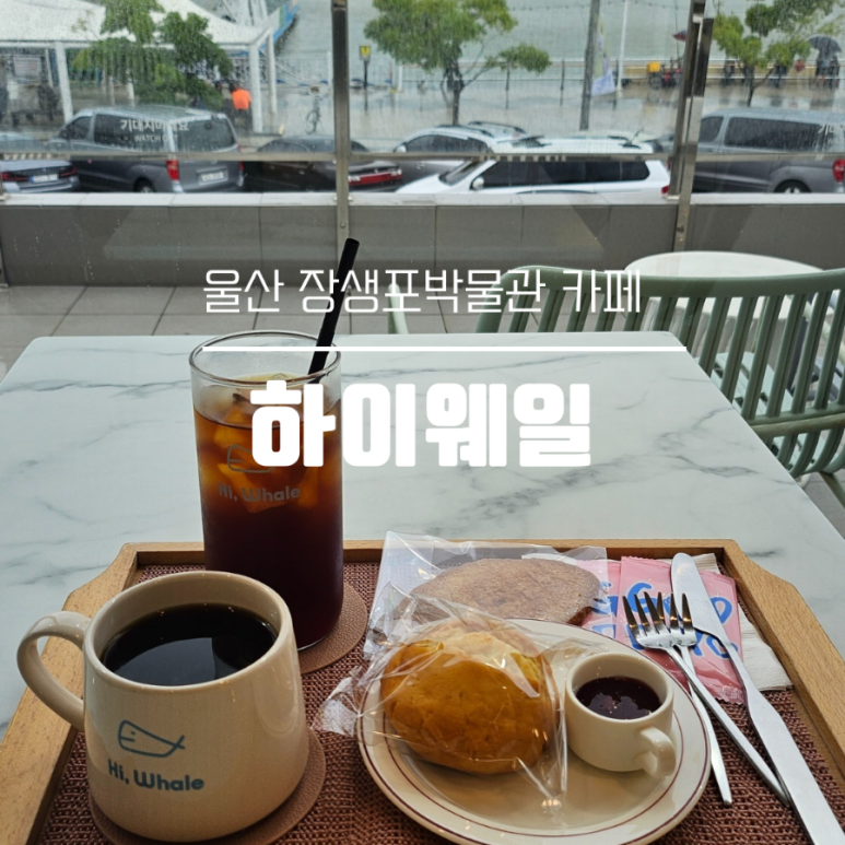 카페하이 이미지