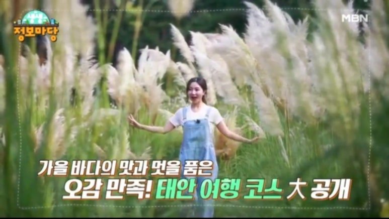 칼국수마당 이미지