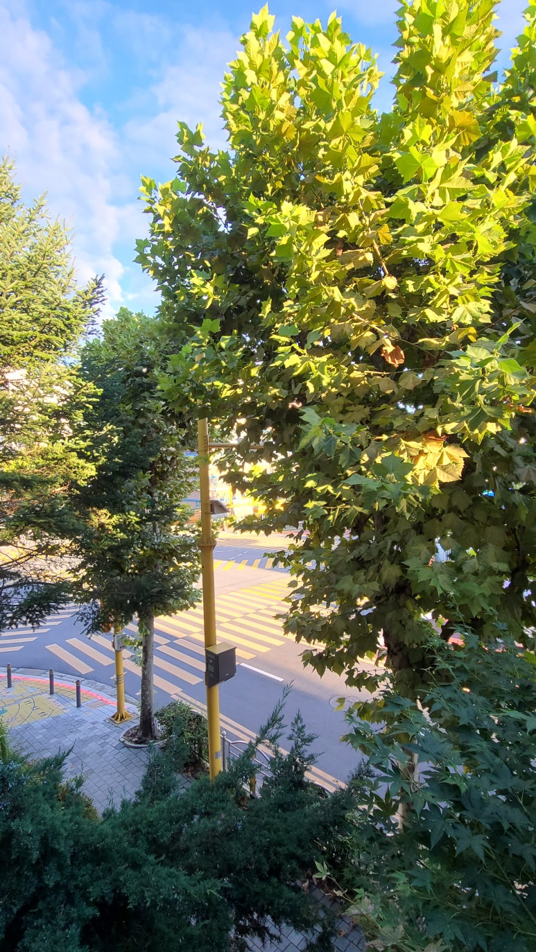 새오름학원 이미지