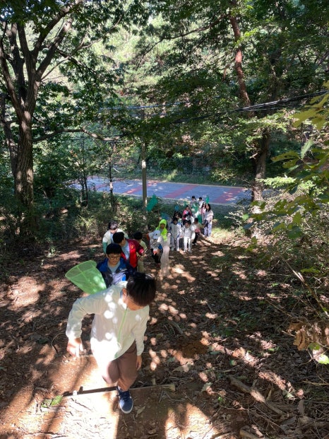 일산은행초등학교 이미지