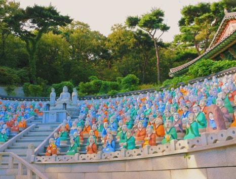 용궁카페 이미지