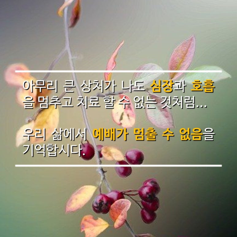 보수왕 이미지