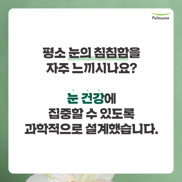 스마트안 이미지