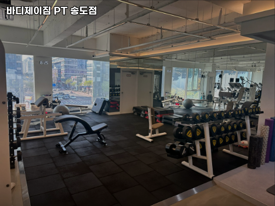디제이짐 이미지