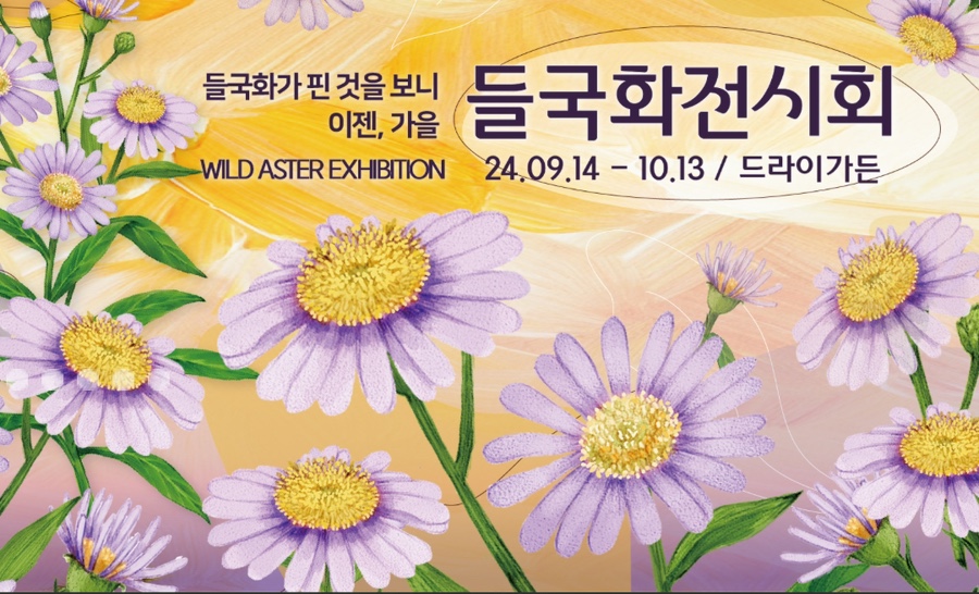 들국화가든 이미지