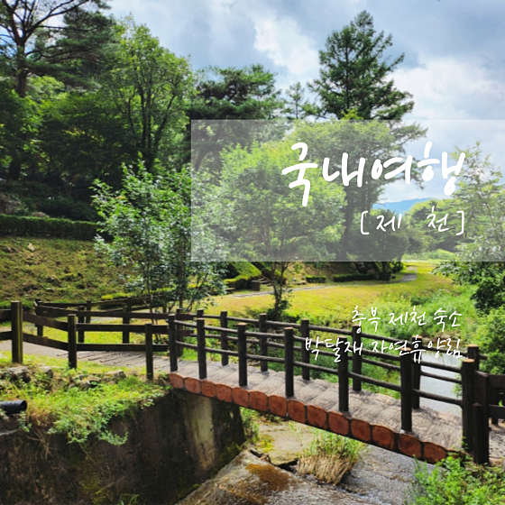 박달재자연휴양림 이미지