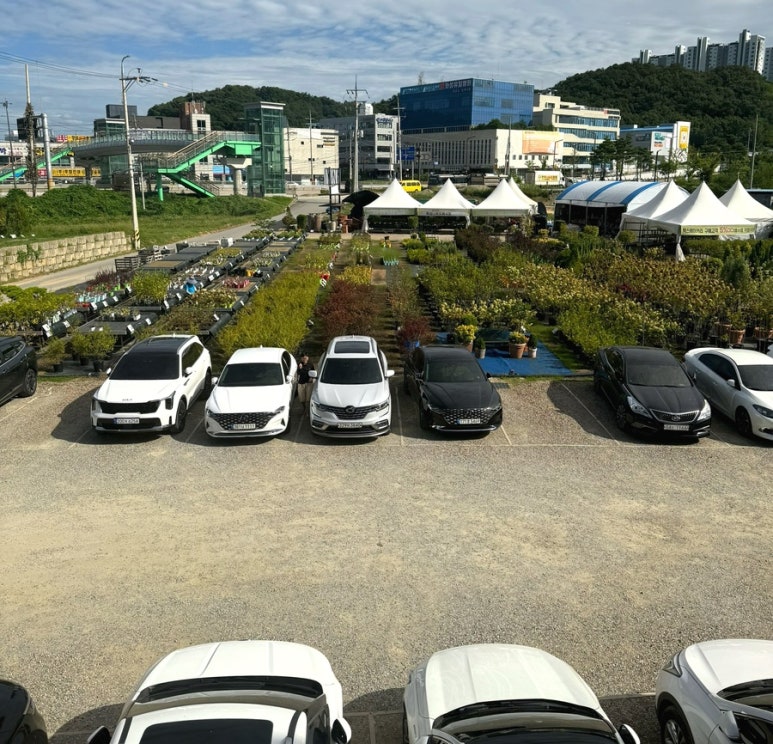 빽다방화성남양 이미지