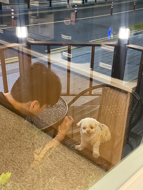 데이롱연수 이미지