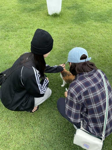 스테이하우스 이미지