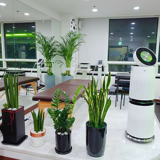 핏바디스튜디오 이미지