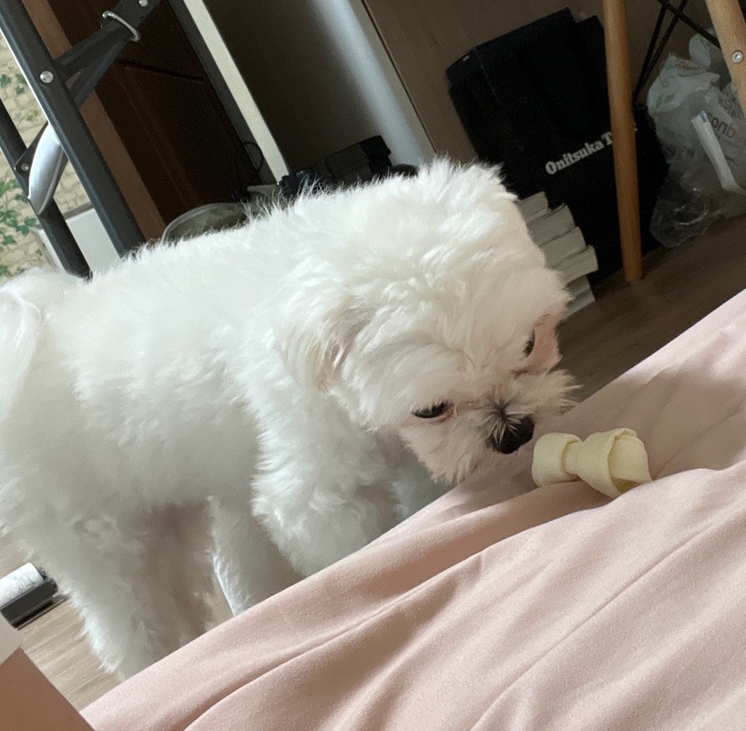 안녕옥이발관 이미지