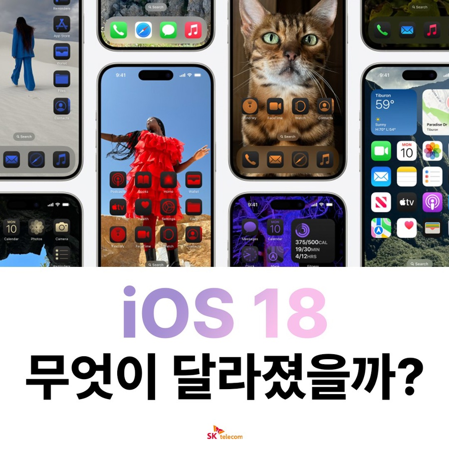 동글이텔레콤 이미지