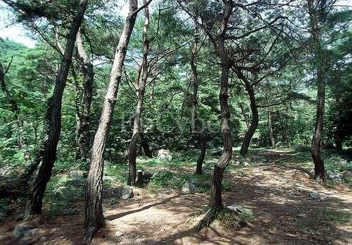 박달재자연휴양림 이미지