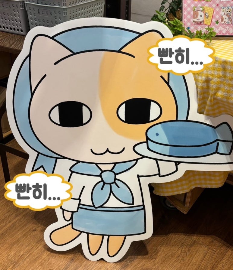 드플랑 이미지