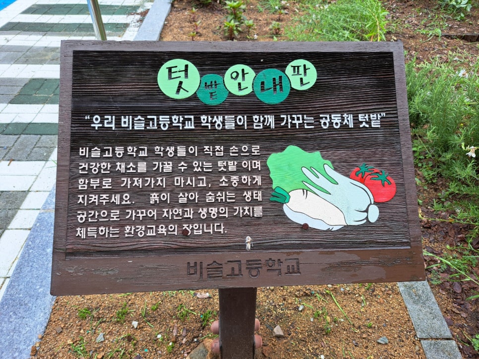 비슬고등학교 이미지