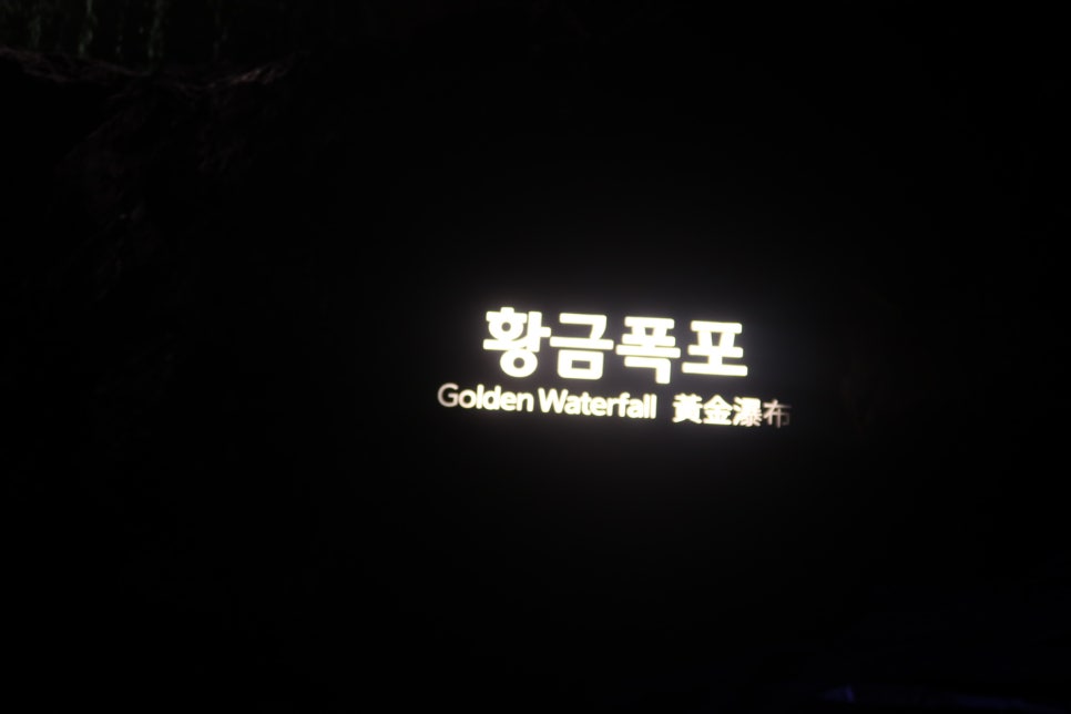광명여행사 이미지