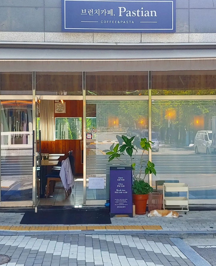 파스티안 이미지