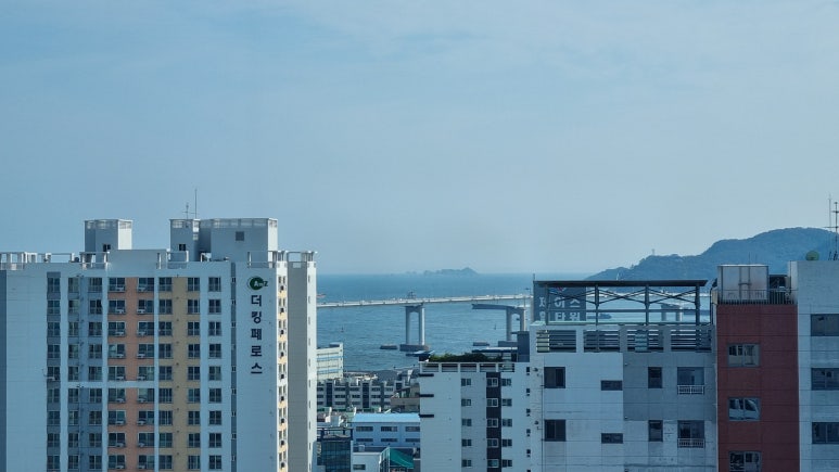 영도할머니 이미지