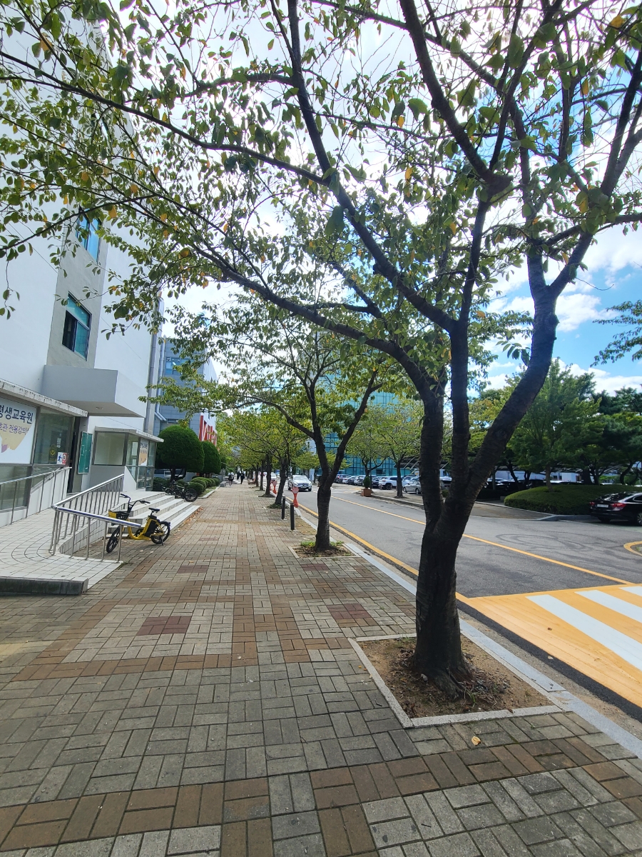 동명식육식당 이미지