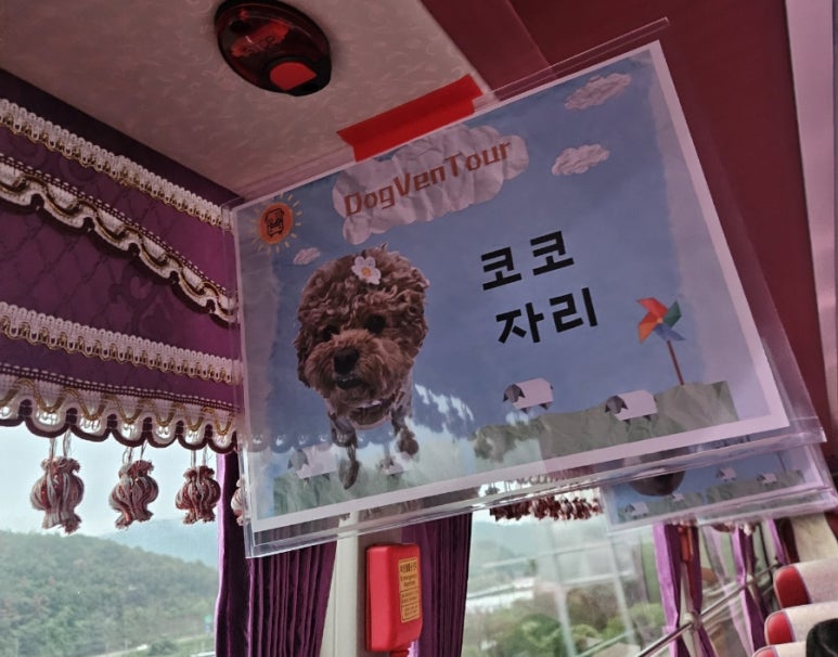 혜성관광 이미지