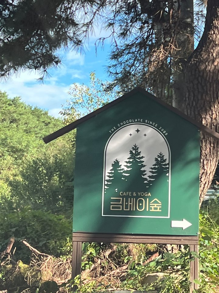 금베이숲 이미지