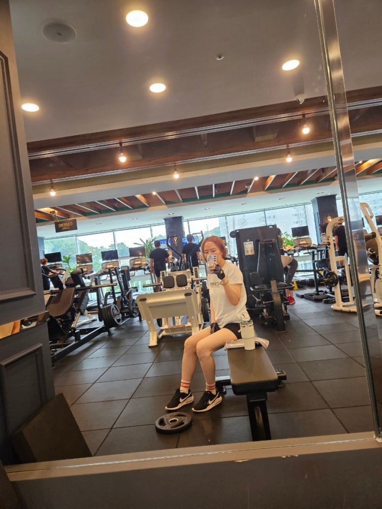 신성카모터스 이미지