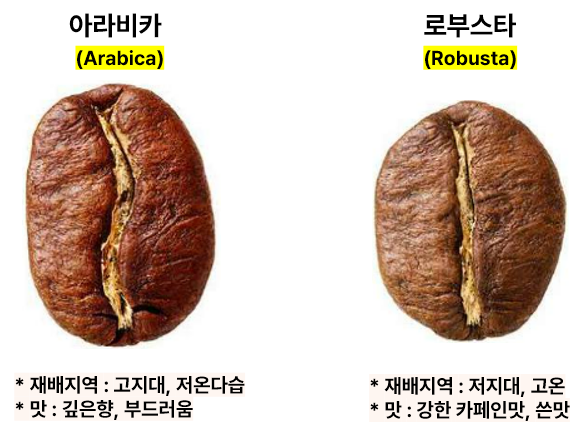 세상드림 이미지
