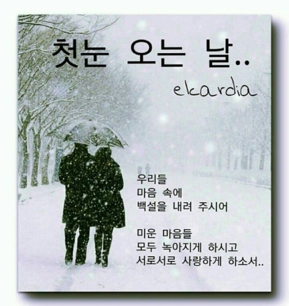 새벽김밥 이미지