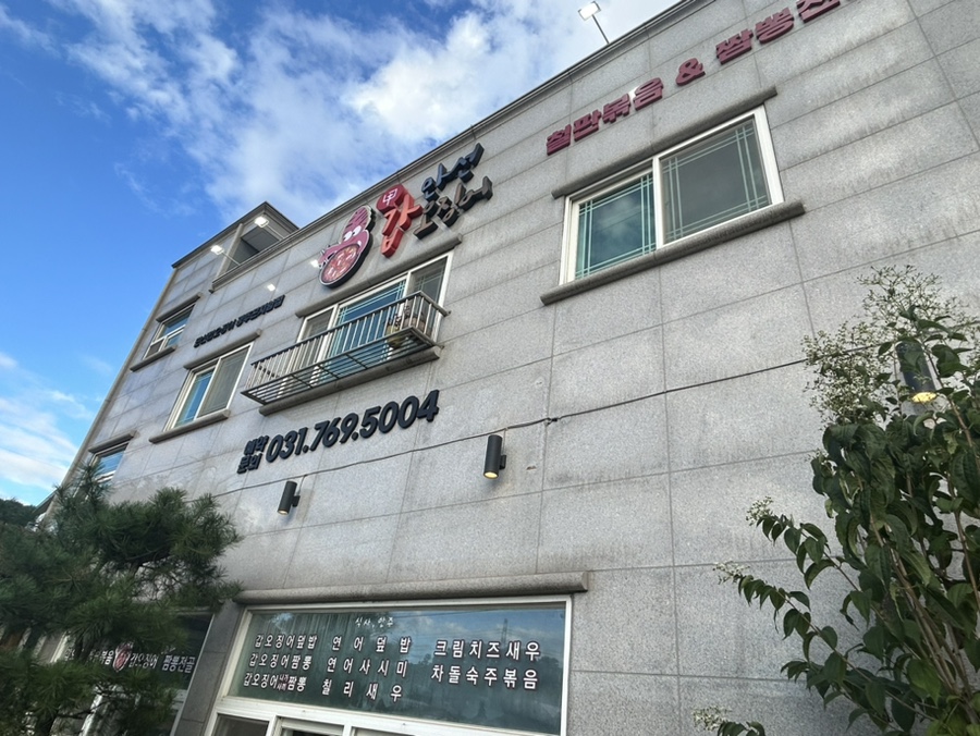 만선갑오징어 이미지