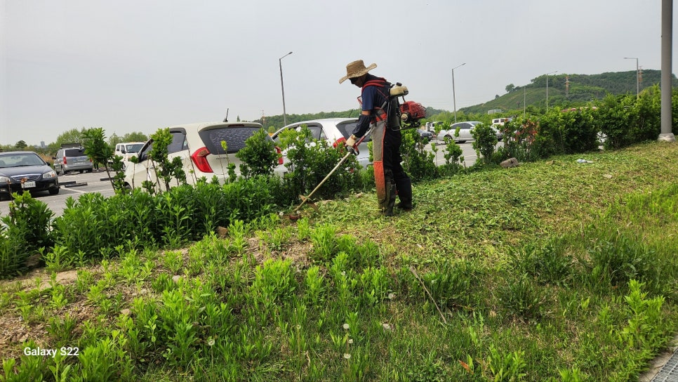 청도비엠주 이미지