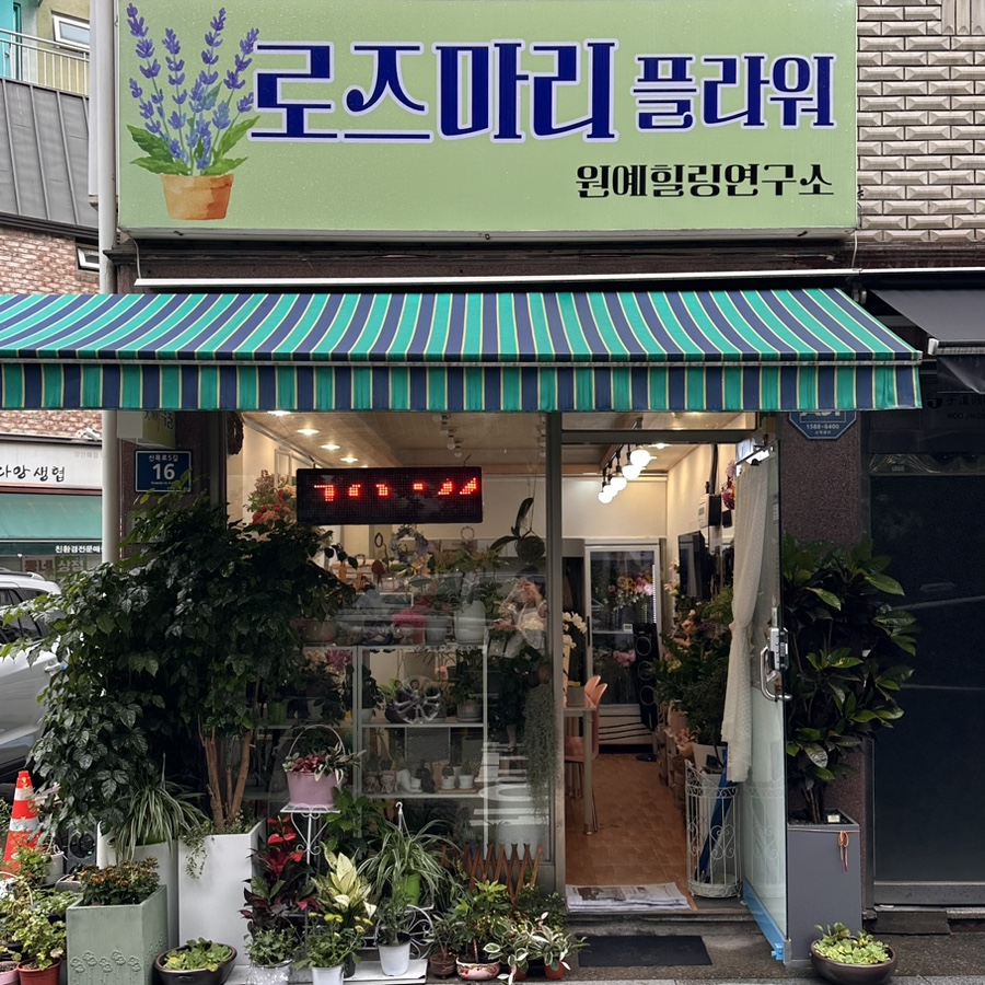 로즈마리플라워 이미지