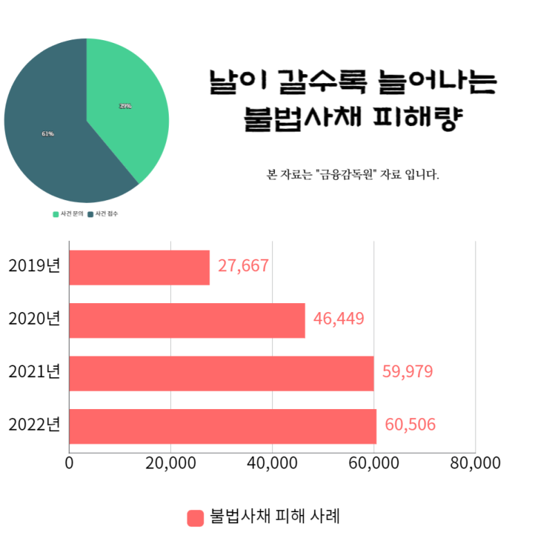 비사채 이미지