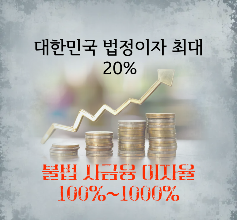 비사채 이미지