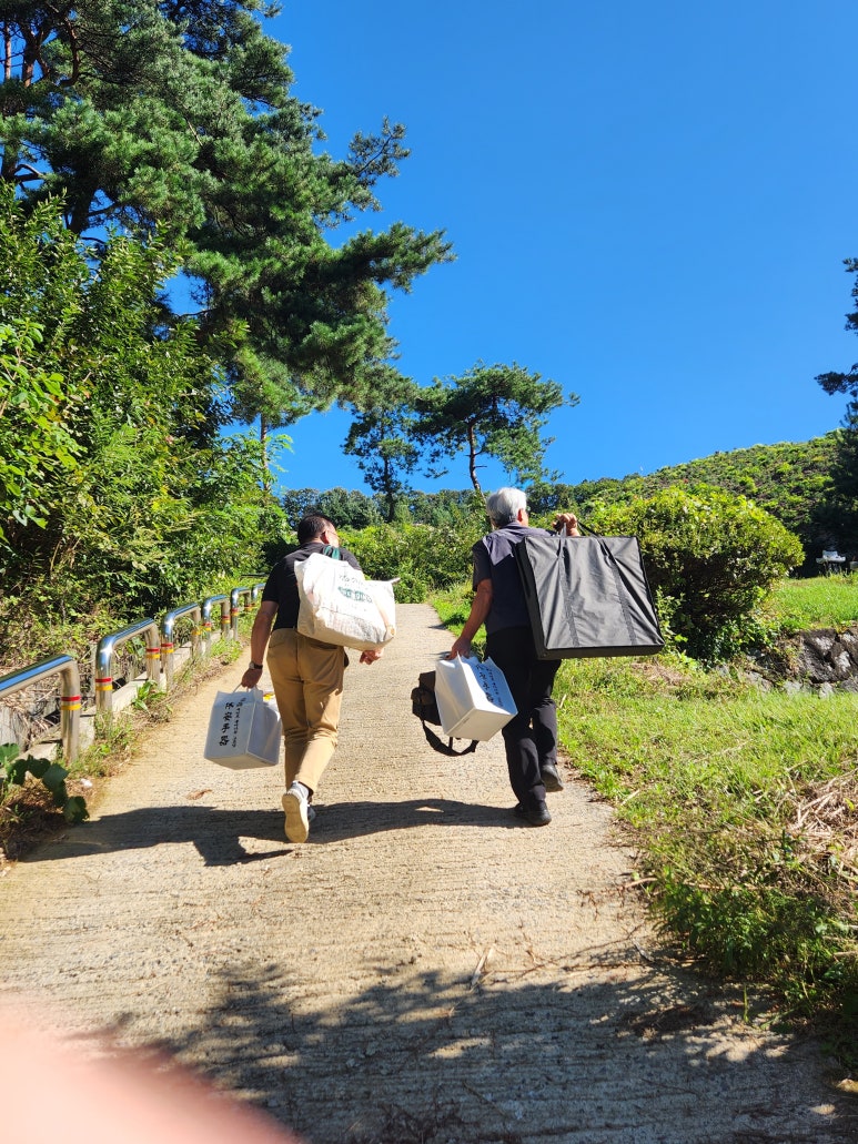 도담상조 이미지