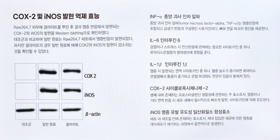 지원슈퍼 이미지