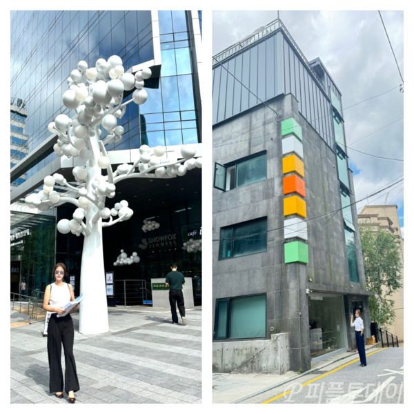 도아트컴퍼니 이미지