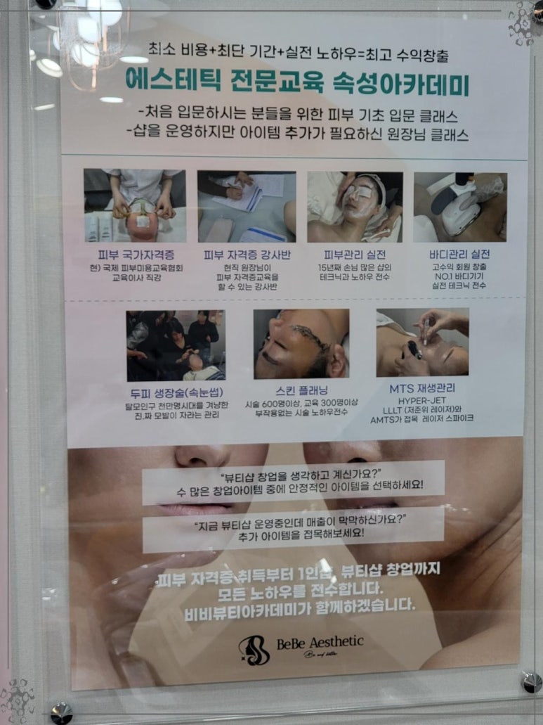 비비테라 이미지