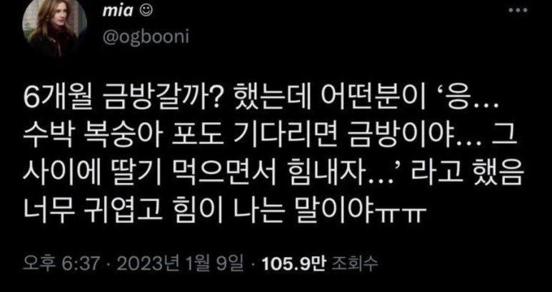 뮤직박스 이미지