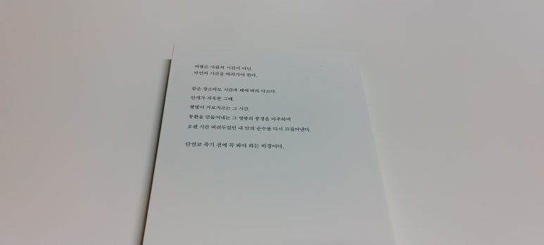 용감한트래블 이미지