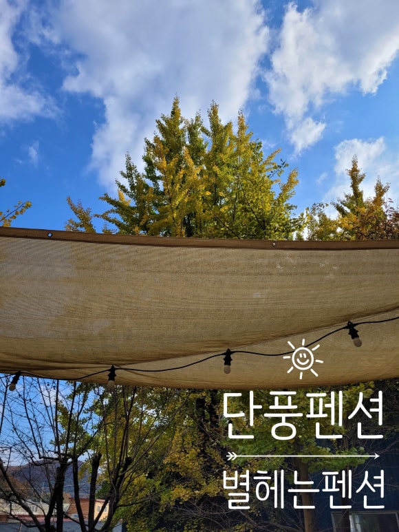 숲속펜션 이미지