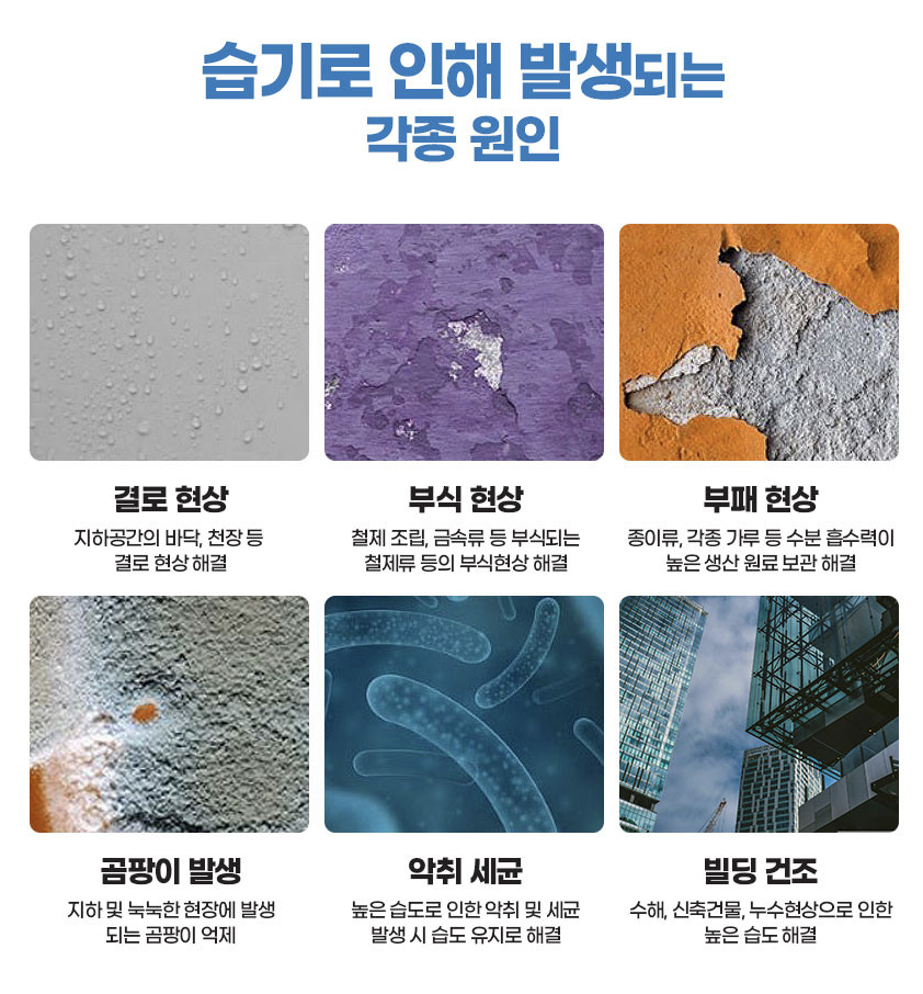 KY식품 이미지