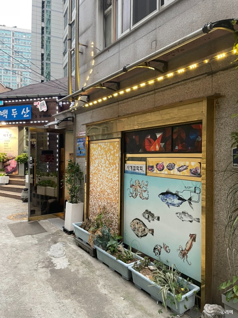 대하 사진 3