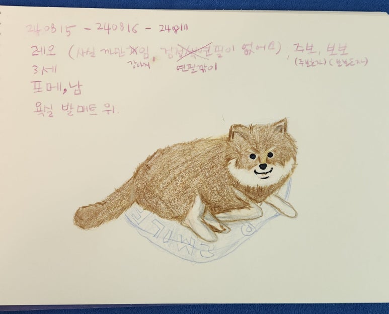 달과7펜스 이미지