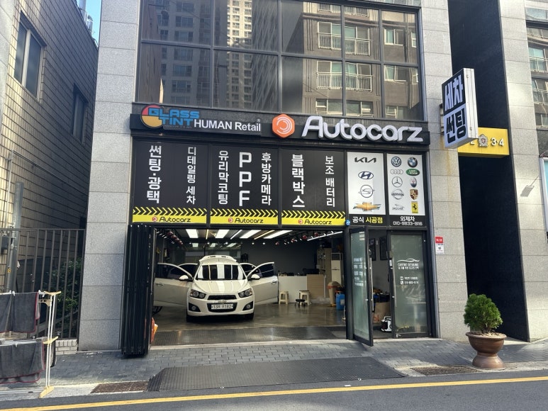 카틴트 이미지