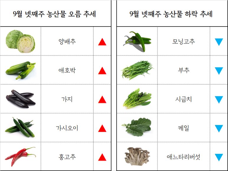 부산유통 이미지