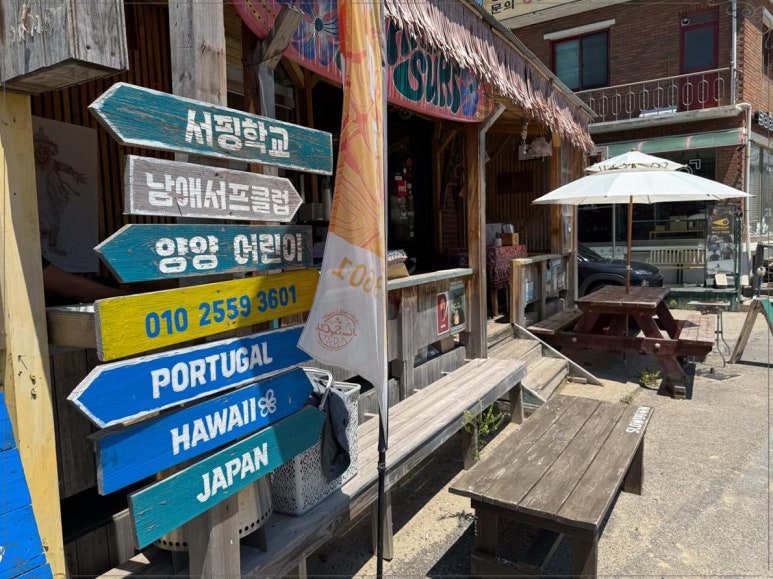 서프클럽 이미지